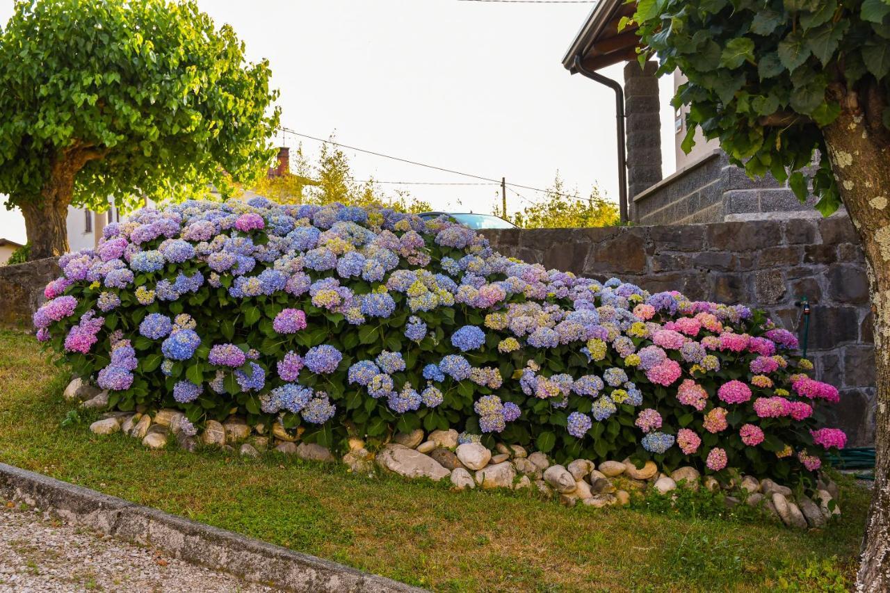 Pri Stari murvi Vogrsko Bagian luar foto